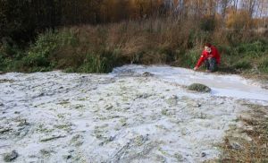 В Котельничском районе появилось &quot;молочное болото&quot;