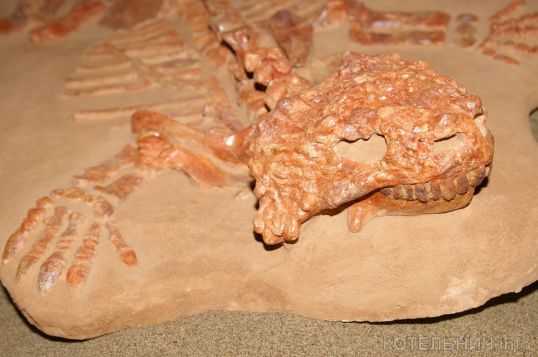 Ночь в музее