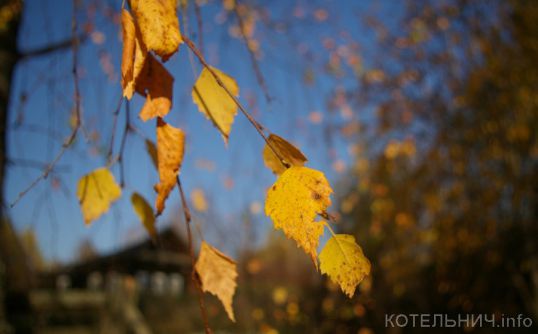 Сентябрь-рекордсмен