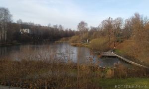 На Балакиревице уже лёд