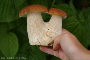 Где-то в окрестностях Котельнича