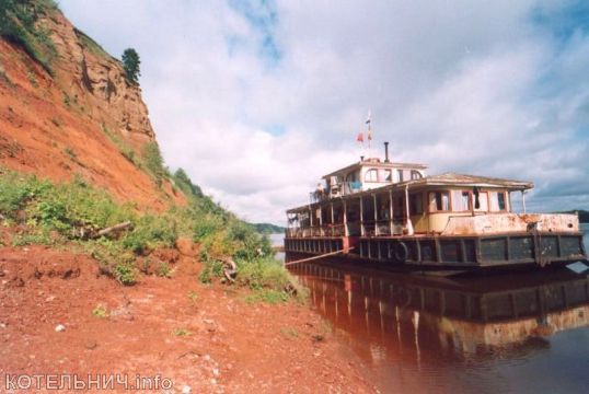 Ученые изучают новое животное из Котельнича