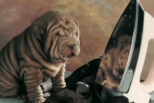 &laquo;Эксперту&raquo; &ndash; респект