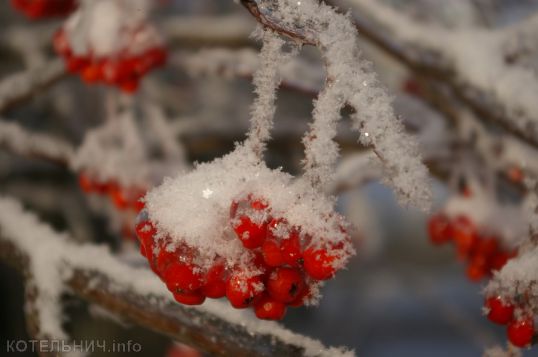 Впереди морозы