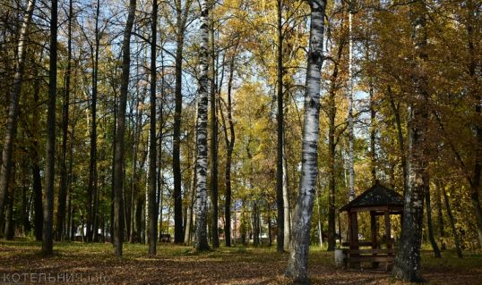 В городском саду