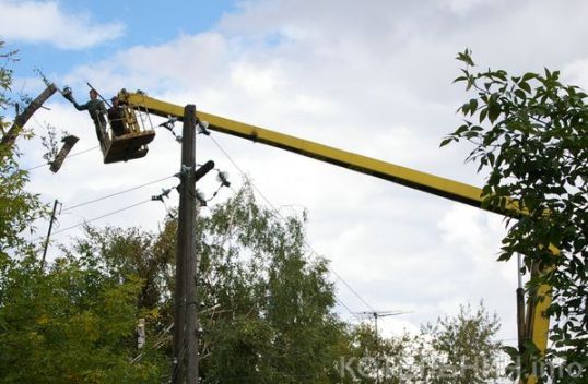 Нарубят на 800 тысяч