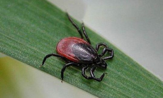 Активность ниже